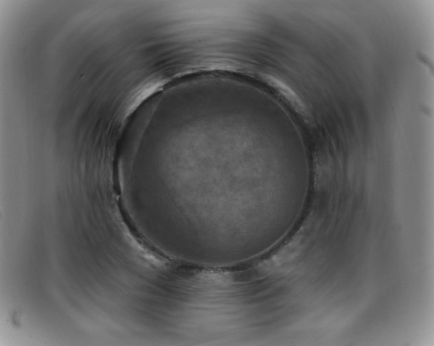 X0000096680977200802051242