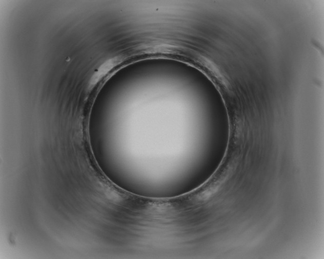 X0000096680978200802051242