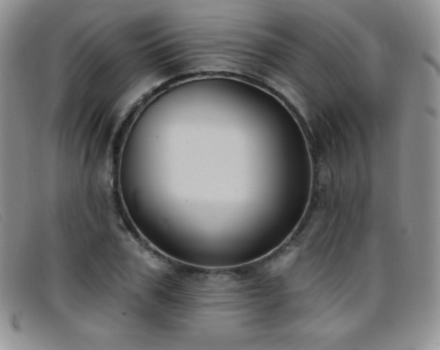 X0000096680979200802051242