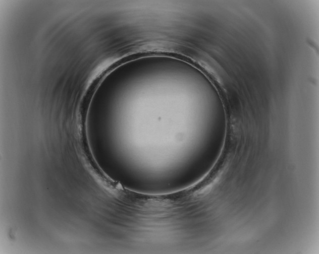 X0000096680981200802051242