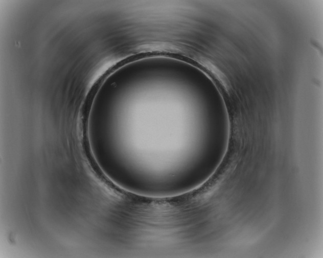 X0000096680983200802051242