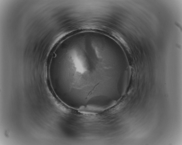 X0000096680984200802051242
