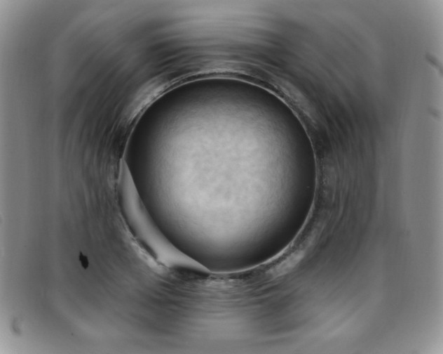 X0000096680985200802051242