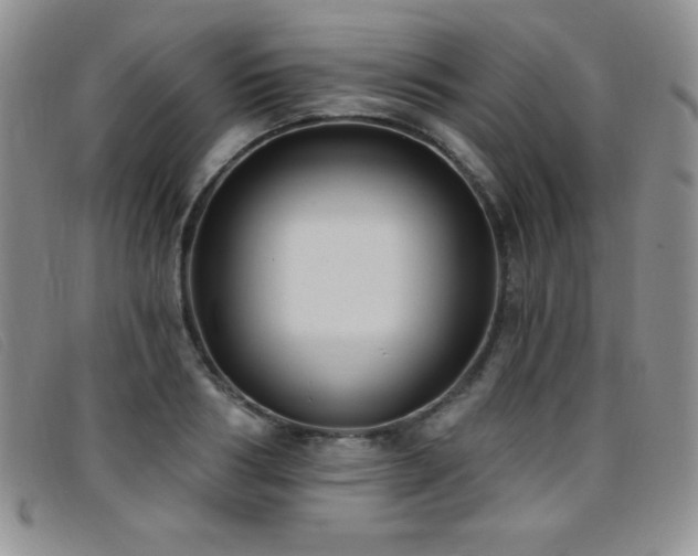 X0000096680986200802051242