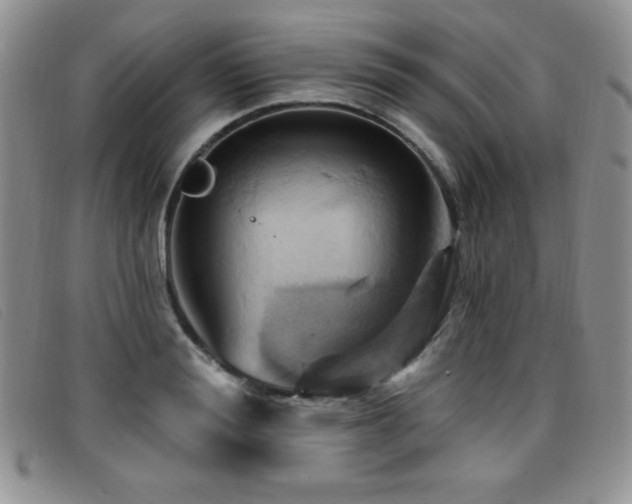 X0000096680988200802051242