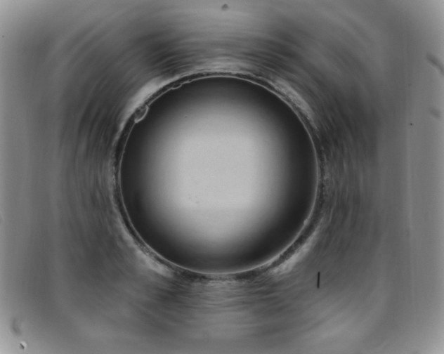 X0000096680989200802051242