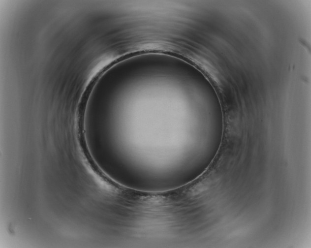 X0000096680991200802051242