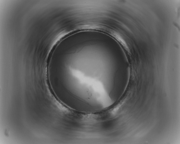 X0000096680992200802051242