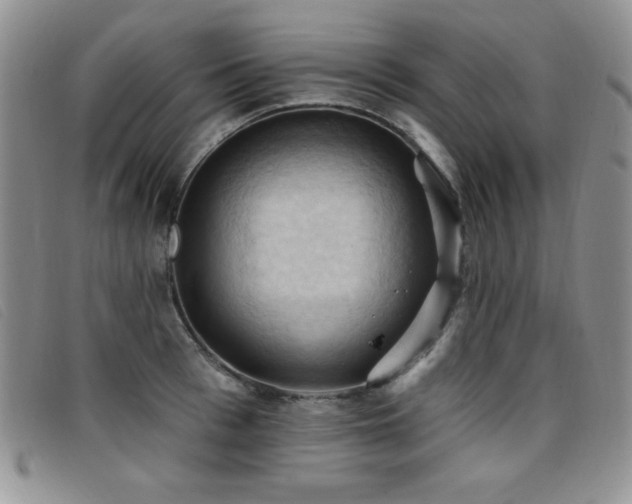 X0000096680993200802051242