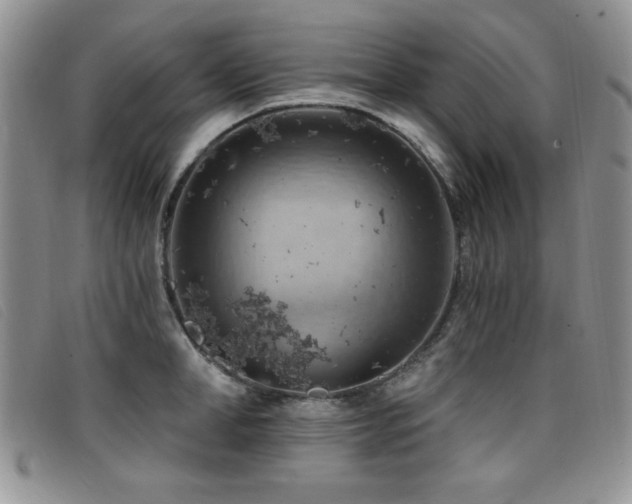 X0000096680998200802051242