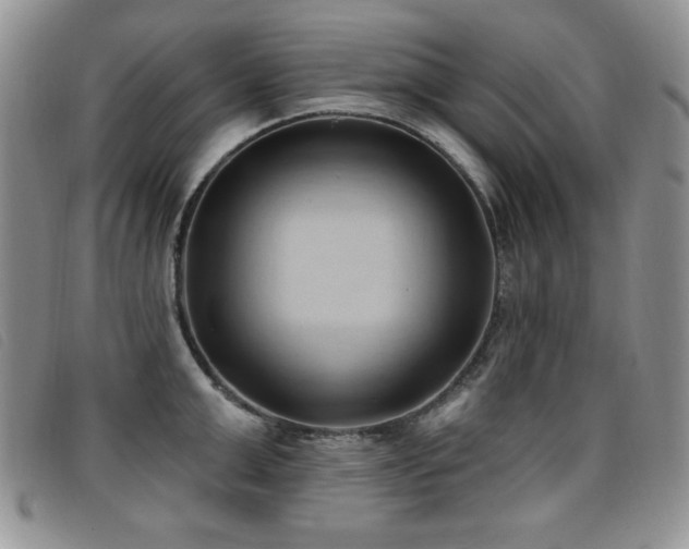 X0000096680999200802051242