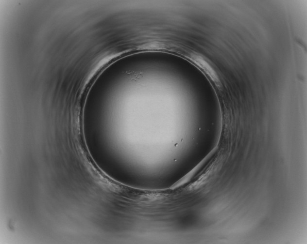 X0000096681000200802051242