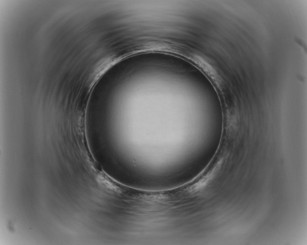 X0000096681001200802051242