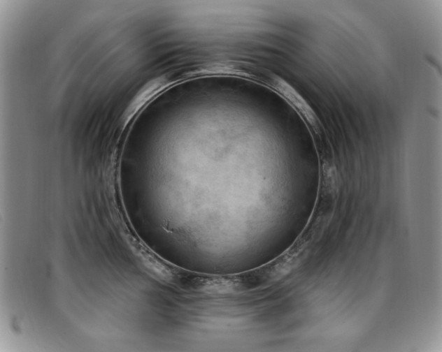 X0000096681002200802051242
