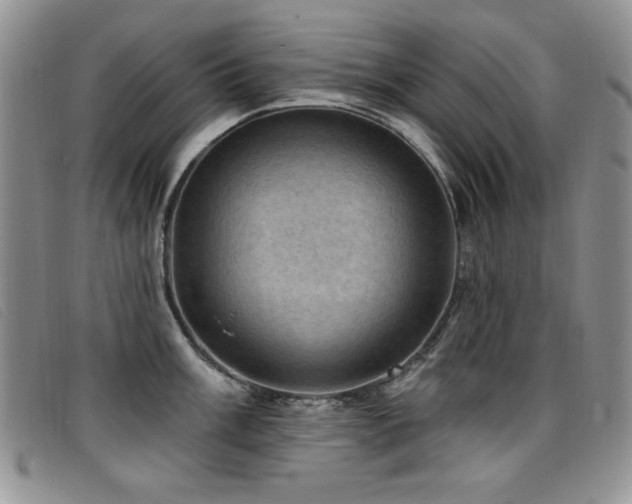 X0000096681003200802051242