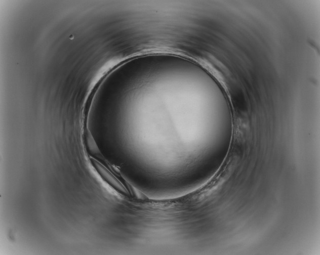 X0000096681005200802051242