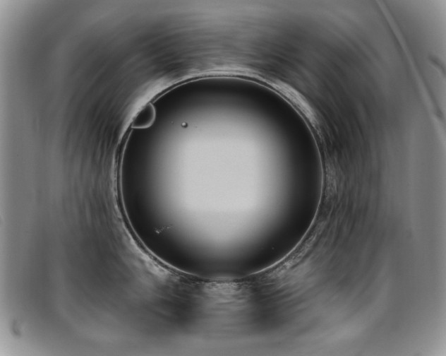 X0000096681006200802051242