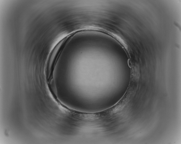 X0000096681007200802051242