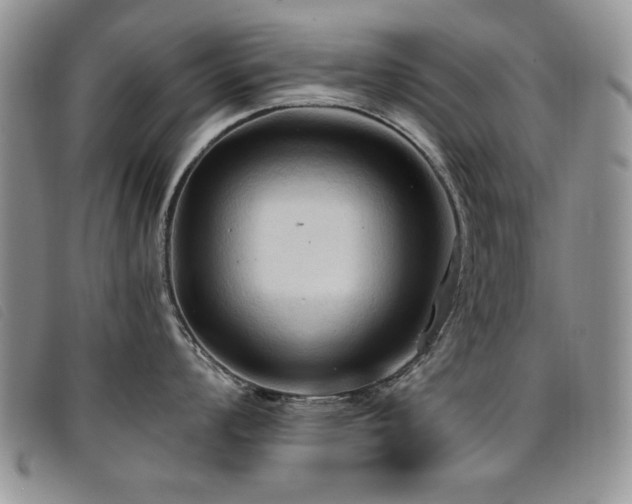 X0000096681008200802051242