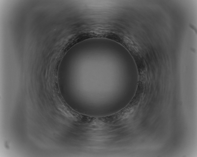 X0000096681009200802051241