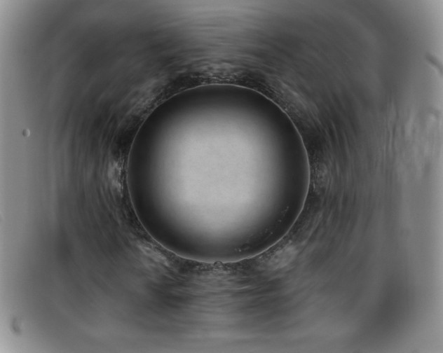 X0000096681010200802051241