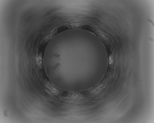 X0000096681011200802051241