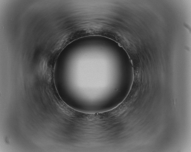 X0000096681012200802051241
