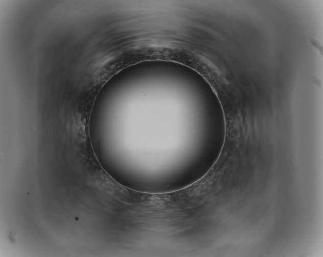 X0000096681013200802051241