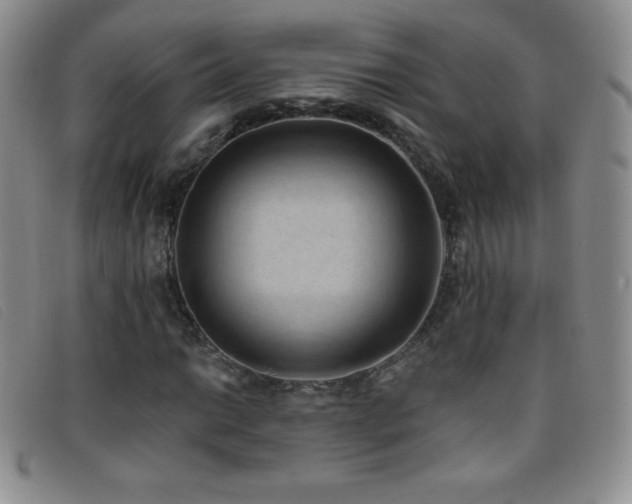 X0000096681014200802051241