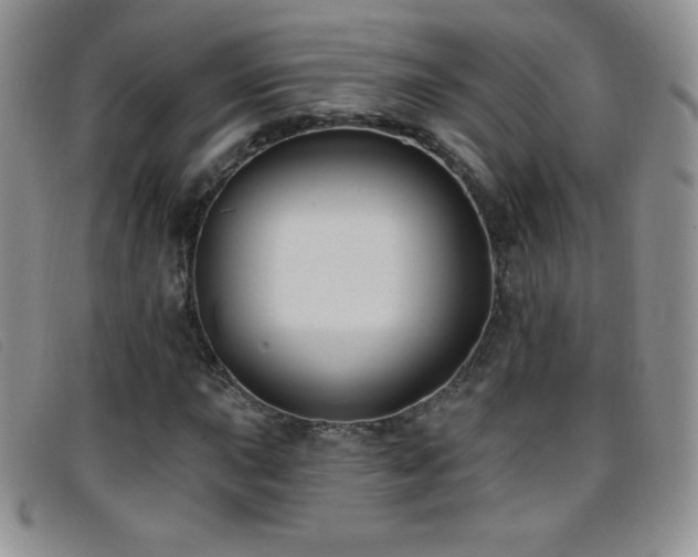 X0000096681015200802051241
