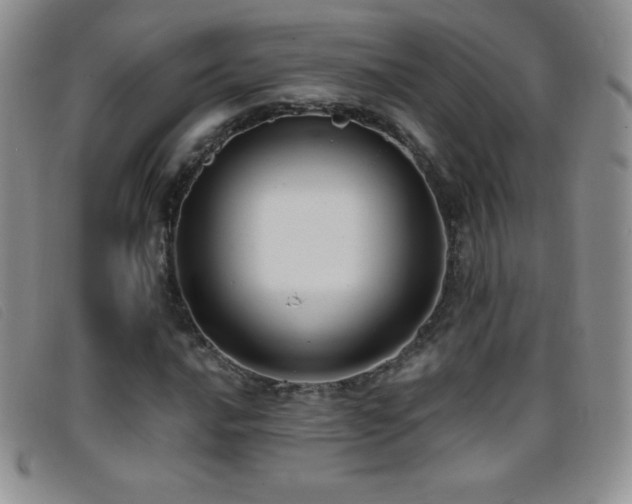 X0000096681016200802051241