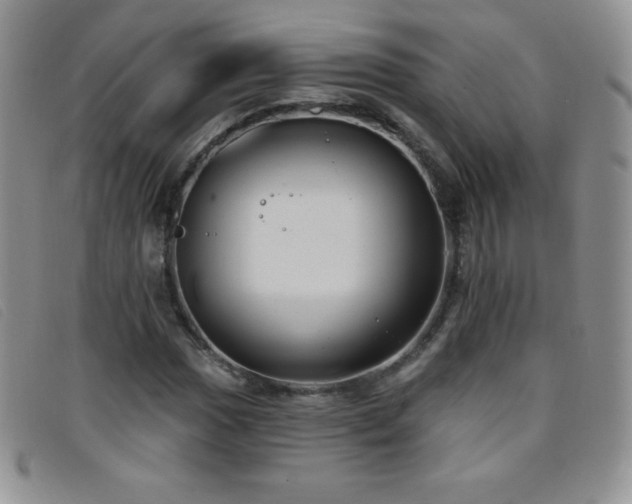 X0000096681017200802051241