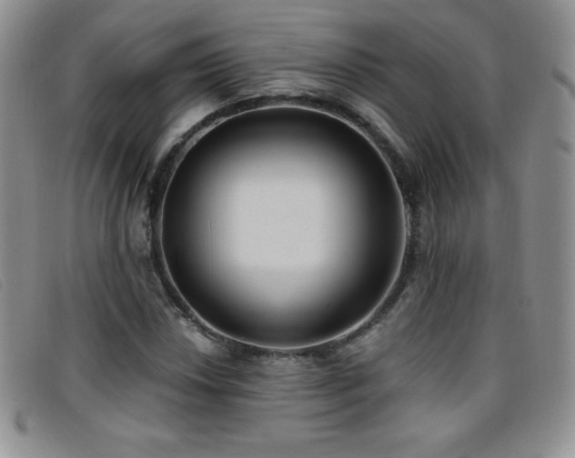 X0000096681018200802051241