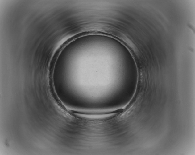 X0000096681020200802051241