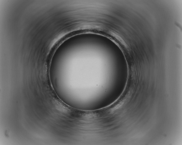 X0000096681021200802051241