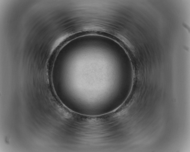 X0000096681022200802051241