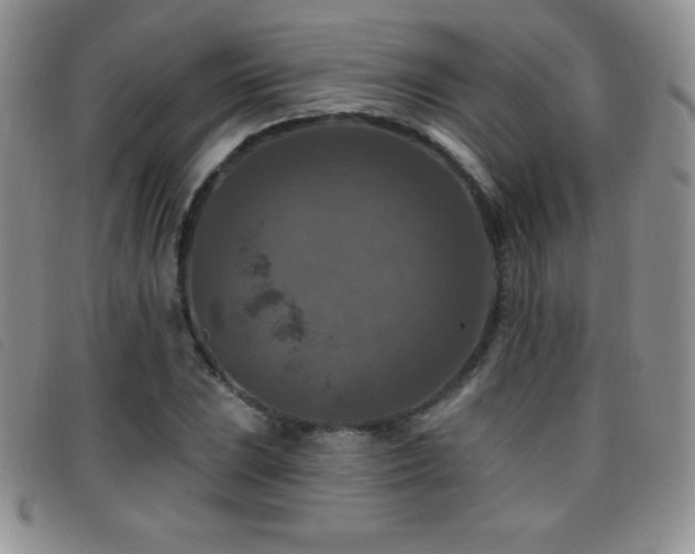 X0000096681023200802051241