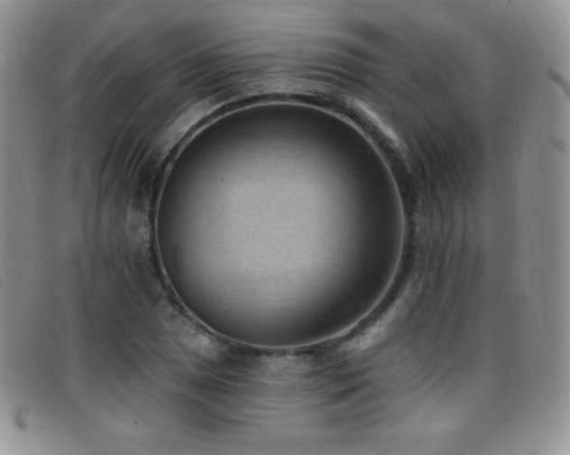 X0000096681025200802051241