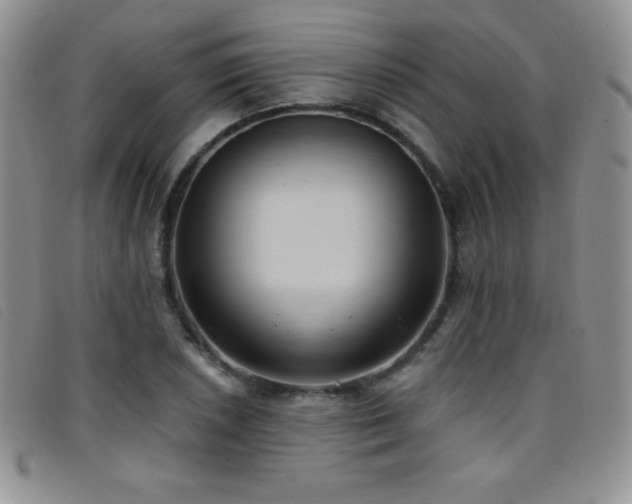X0000096681026200802051241