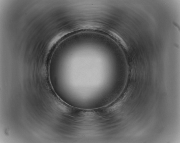 X0000096681027200802051241