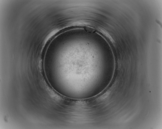 X0000096681029200802051241
