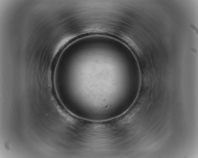 X0000096681030200802051241