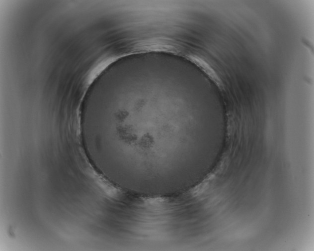 X0000096681031200802051241