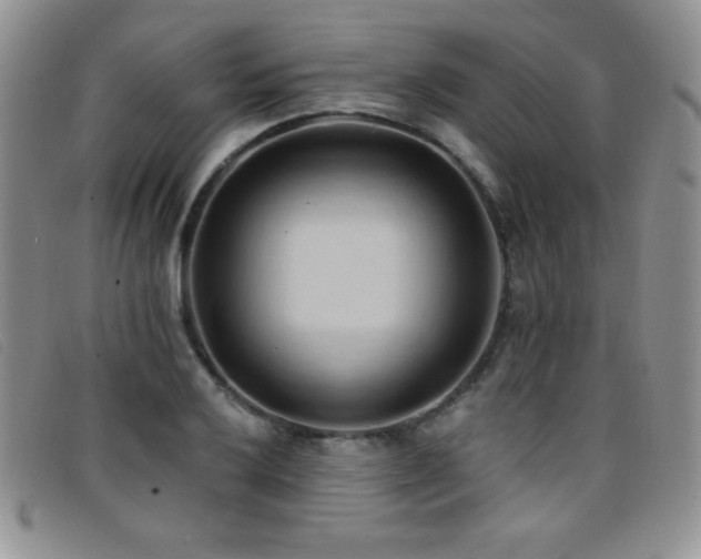 X0000096681032200802051241