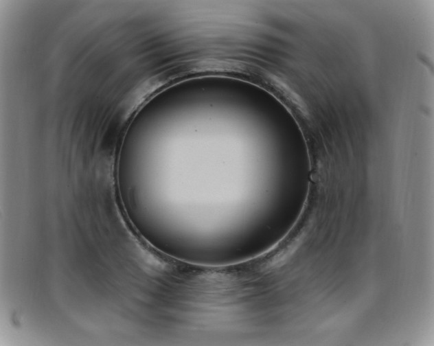 X0000096681033200802051241