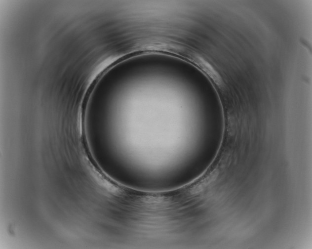 X0000096681036200802051241