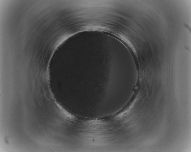 X0000096681037200802051241