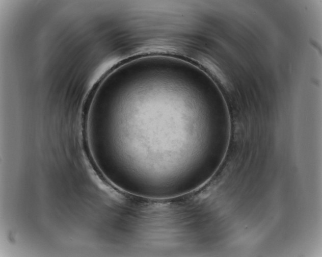 X0000096681038200802051241
