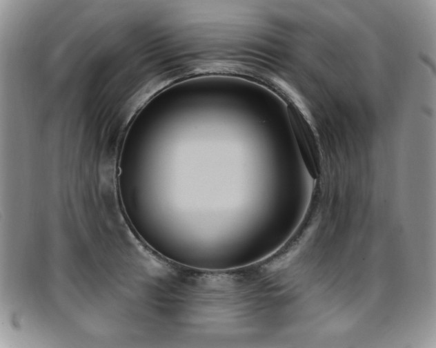 X0000096681041200802051241