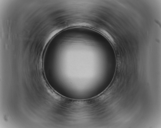 X0000096681044200802051241
